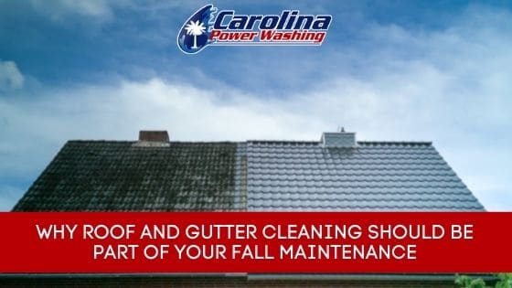 roof and gutter cleaning
