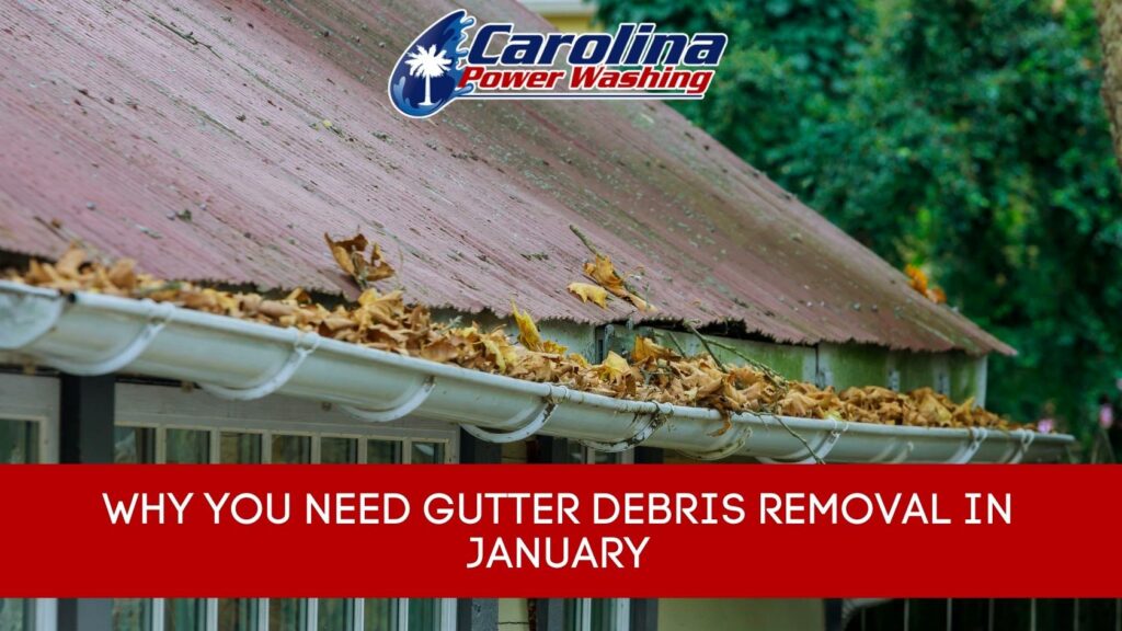 gutter debris removal